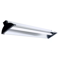 UV Lampen