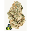 Fast Buds Gorilla Melon Fem 3St.