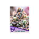 Anesia Future Island Fem 3St.