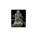Barneys Farm Super Boof Fem 3St.