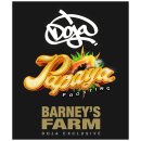 Barneys Farm x DOJA Papaya Frosting Fem 3St.