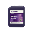 Plagron Power Roots