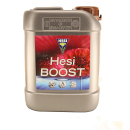 Hesi Boost