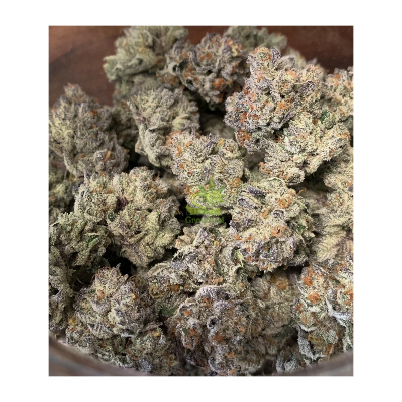 In House Genetics Bananacane Fem 3St.