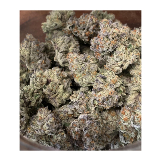 In House Genetics Bananacane Fem 3St.