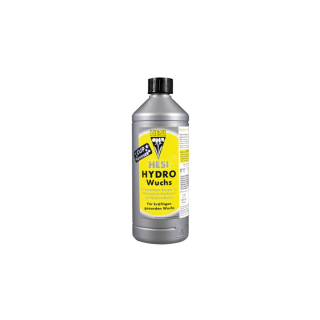 1L